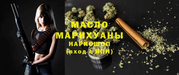 крисы Инта
