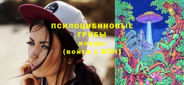 MDMA Каменногорск