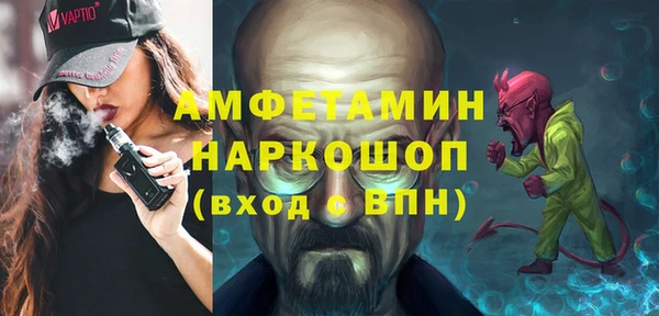 крисы Инта