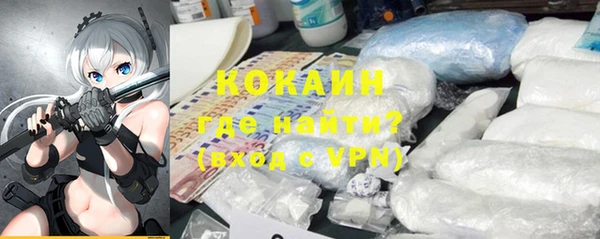 крисы Инта