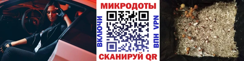 Купить  Новомосковск  Галлюциногенные грибы мухоморы 
